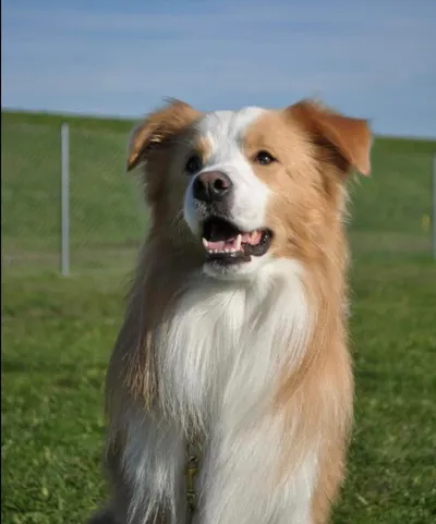 Awesome Sand Winner of my Heart