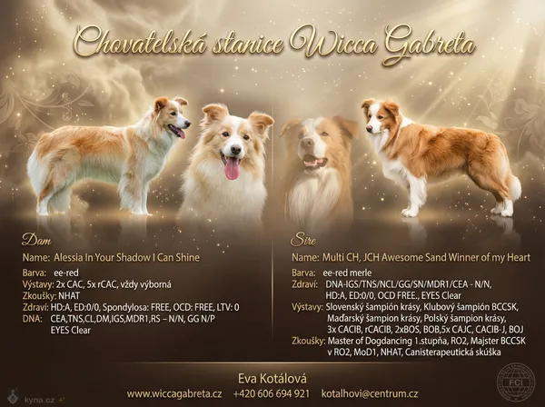 Výsledný leták - jemnější varianta