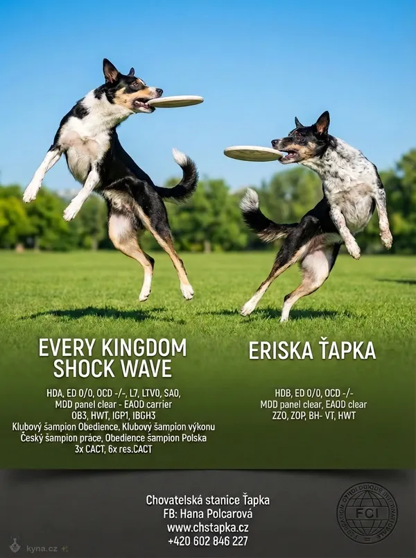 Výsledný leták - varianta 5