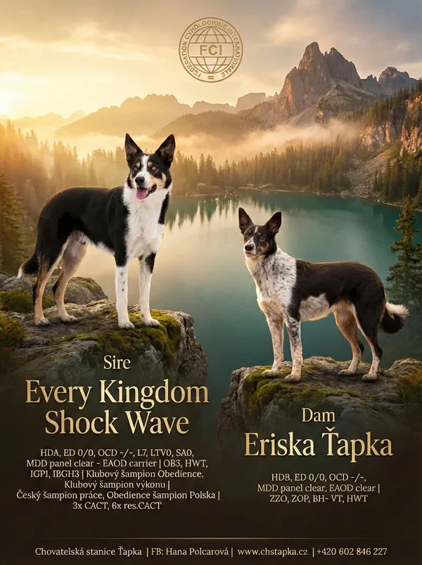 Výsledný leták - varianta 3