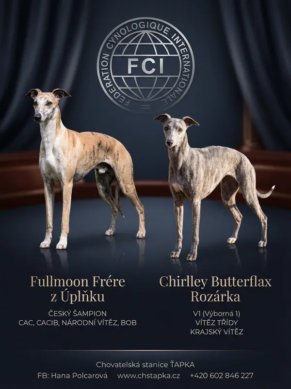 Výsledný leták - Royal Satin