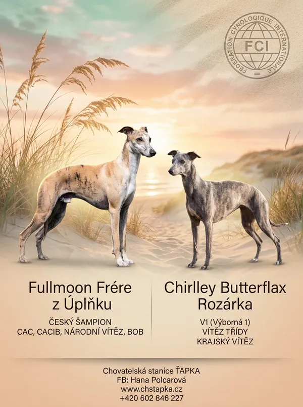 Výsledný leták - Golden Dunes