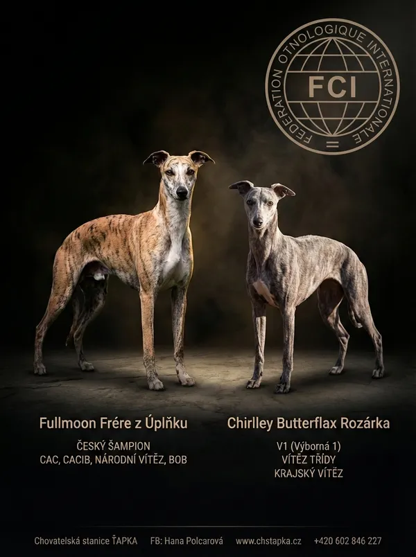 Výsledný leták - Sculptural Noir