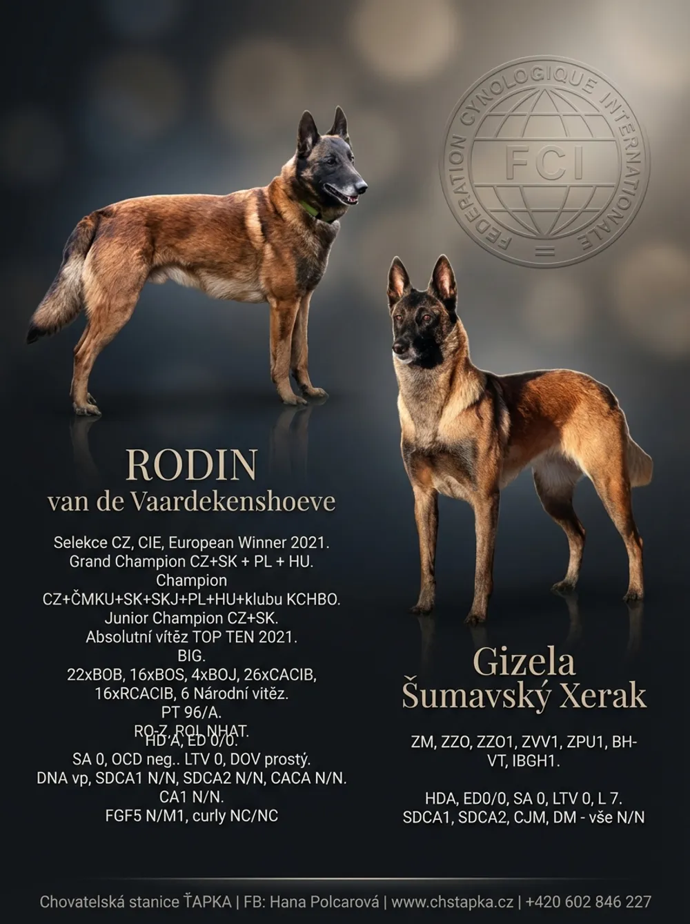 Výsledný leták plánovaného vrhu