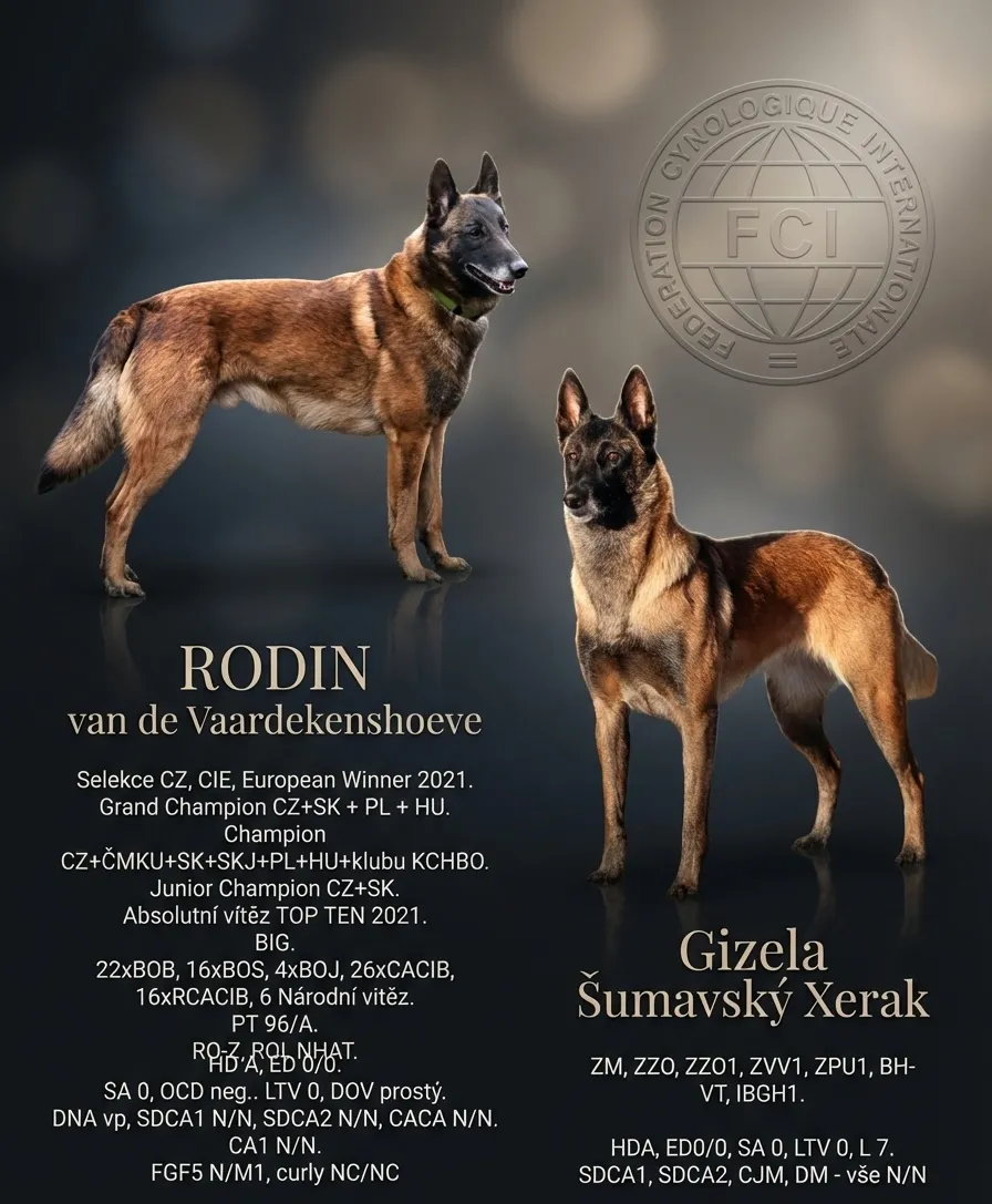 Ukázka letáčku v původním módu.